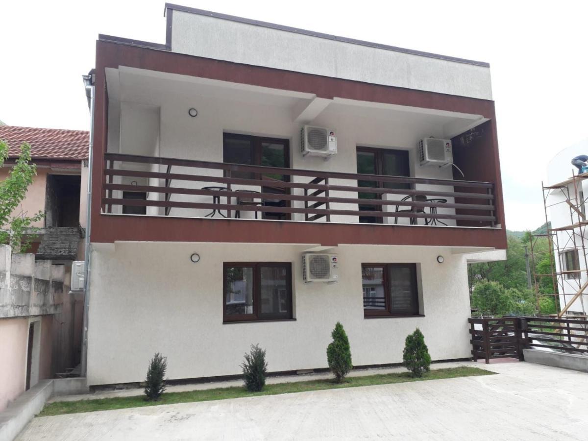 Vila Ovidiu Baile Herculane Luaran gambar